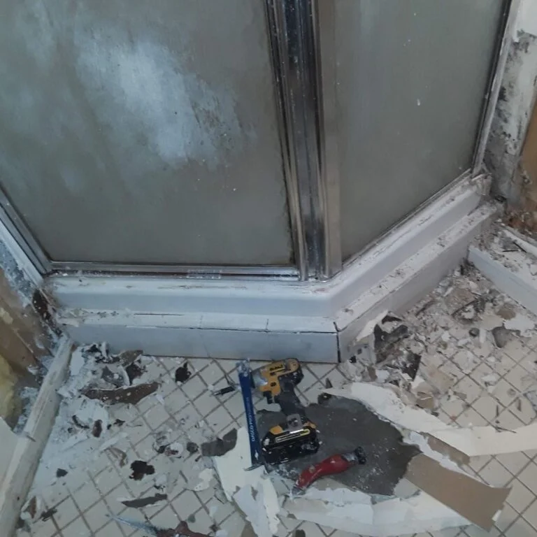 Remodeling Project