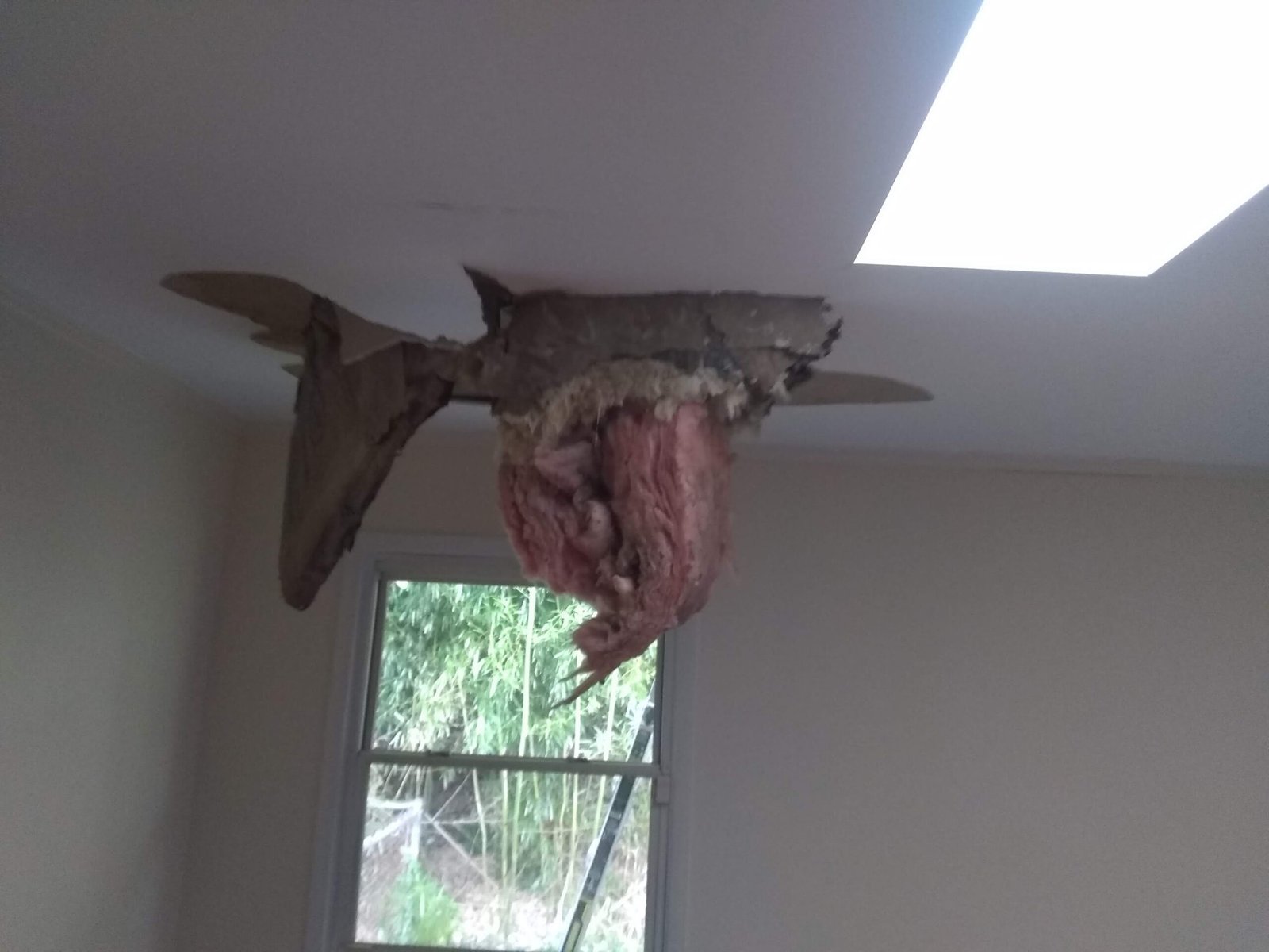 Handyman Service