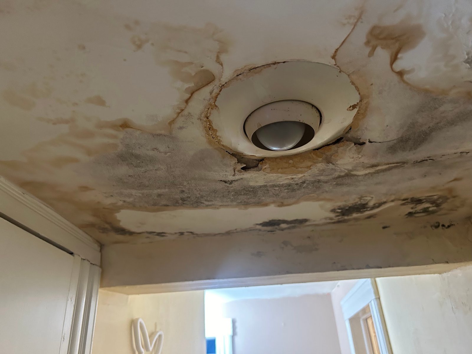 Remodeling Project